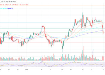 Bitcoin Value Crashes Beneath $98,000: Right here’s Why