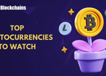 Most Really helpful Crypto to Spend money on 2025