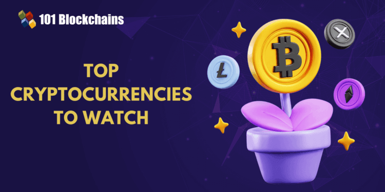 Most Really helpful Crypto to Spend money on 2025