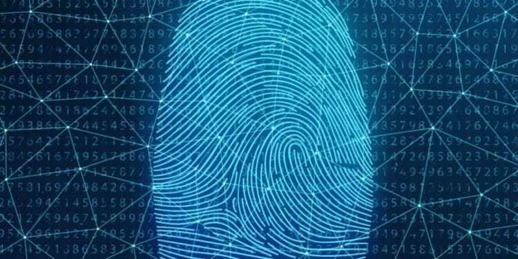 Belgium: Non-public Investigation Act — The way it impacts your inner investigations