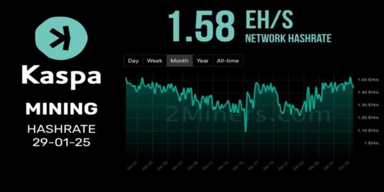 6 Finest Altcoins to Watch At this time February 2 – Motion, Flare, ApeNFT, Kaspa