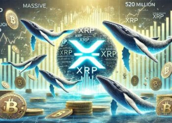 Large XRP Accumulation – Whales Purchased 520 Million XRP Throughout Market Dip