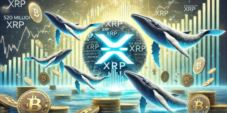 Large XRP Accumulation – Whales Purchased 520 Million XRP Throughout Market Dip