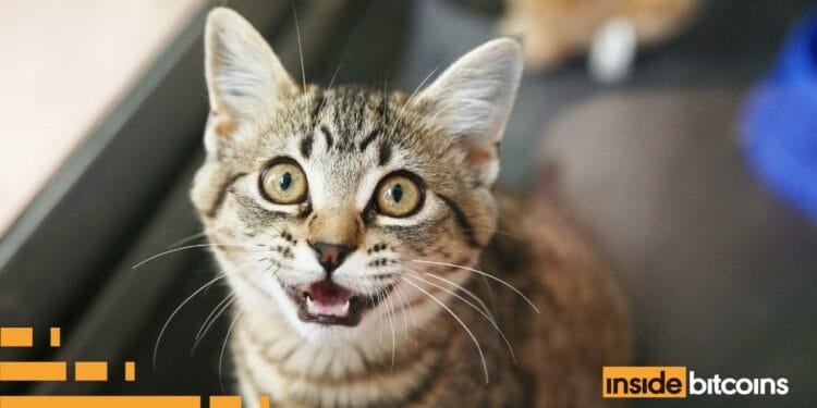 MEOW Worth Soars 22%, This Would possibly Be The Subsequent Crypto To Surge