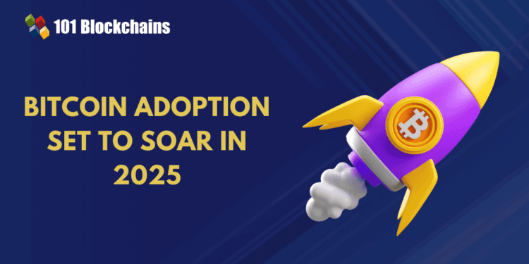 Why 2025 Might Be a Breakout Yr for Bitcoin Adoption?