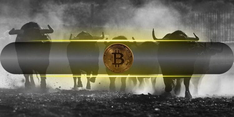 3 Bullish Indicators for Bitcoin’s Worth within the Week Forward