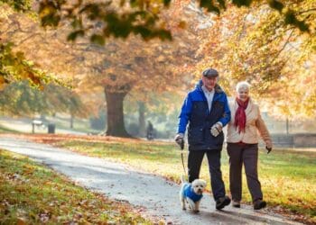 How a lot do traders want in an ISA to earn a £2,500 month-to-month passive earnings?