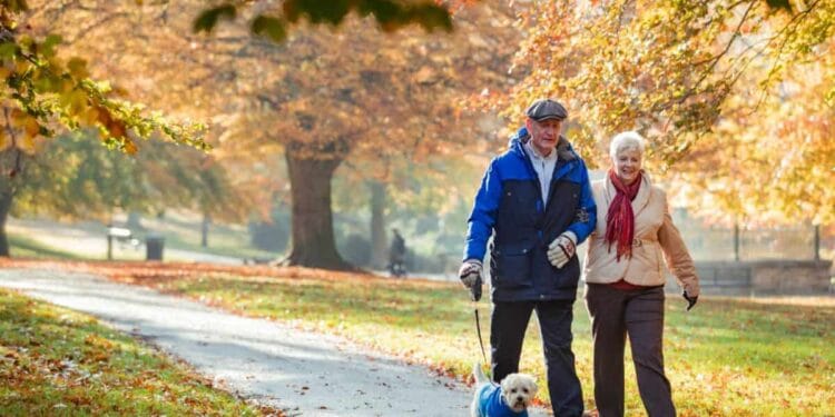 How a lot do traders want in an ISA to earn a £2,500 month-to-month passive earnings?