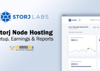Easy methods to Host a Storj Node – Setup, Earnings & Experiences