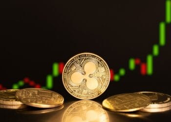 Why XRP Is Going Down? Newest XRP Information and Value Predictions (March 2025)