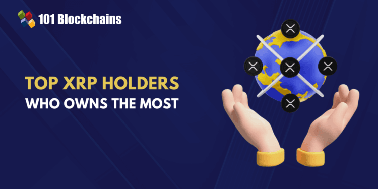 High XRP Holders and Possession Distribution