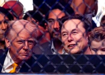 Trump and Musk reassure traders