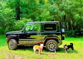 BREAKING: Doge Creator Atsuko Sato Publicizes First-Ever Doge Memorial Get together – World Pilgrimage for Followers?