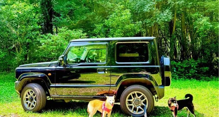 BREAKING: Doge Creator Atsuko Sato Publicizes First-Ever Doge Memorial Get together – World Pilgrimage for Followers?