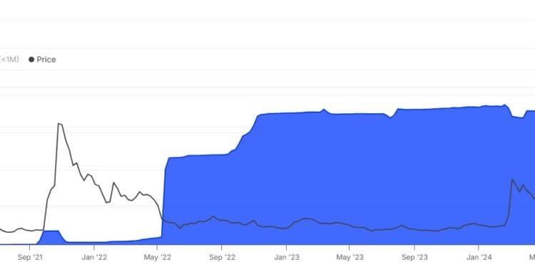 Shiba Inu Worth Drops: SHIB Meme Coin Merchants Are Unfazed