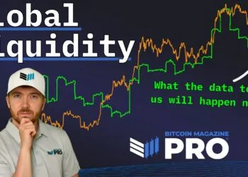 How Increasing World Liquidity Might Drive Bitcoin Worth To New All-Time Highs