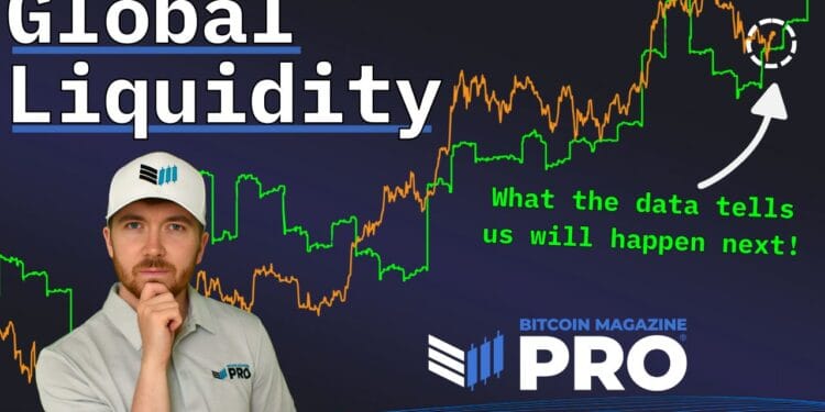 How Increasing World Liquidity Might Drive Bitcoin Worth To New All-Time Highs