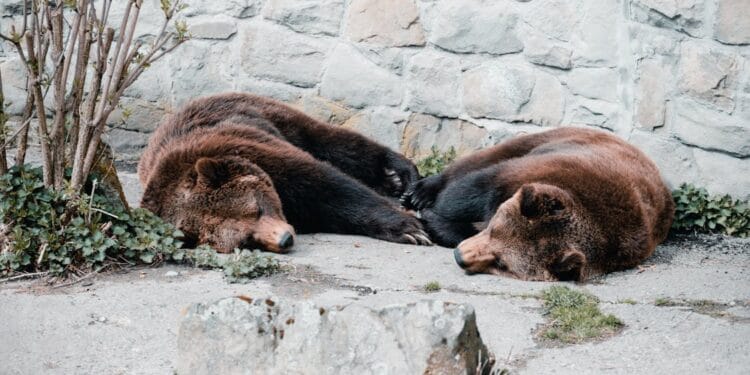 Knowledgeable Analyst Warns BITCOIN/VIX Is Not Bullish, These Are Bear Market Alerts