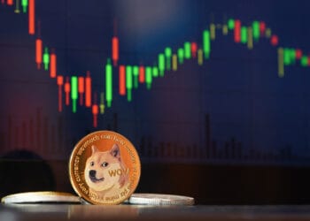 Dogecoin MVRV Returns To This Essential Degree — DOGE Worth Up 400% The Final Time
