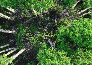 Sustainability Belongs In all places | Company Compliance Insights