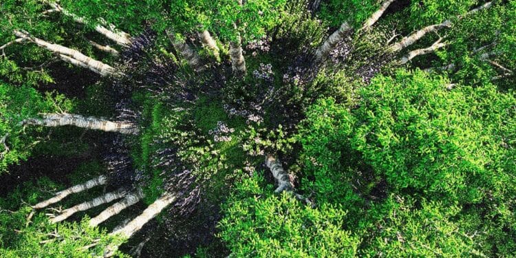 Sustainability Belongs In all places | Company Compliance Insights