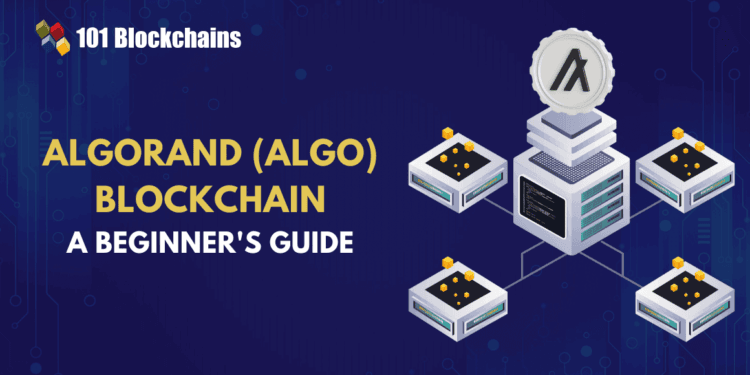 A Newbie’s Information to Algorand (ALGO) Blockchain