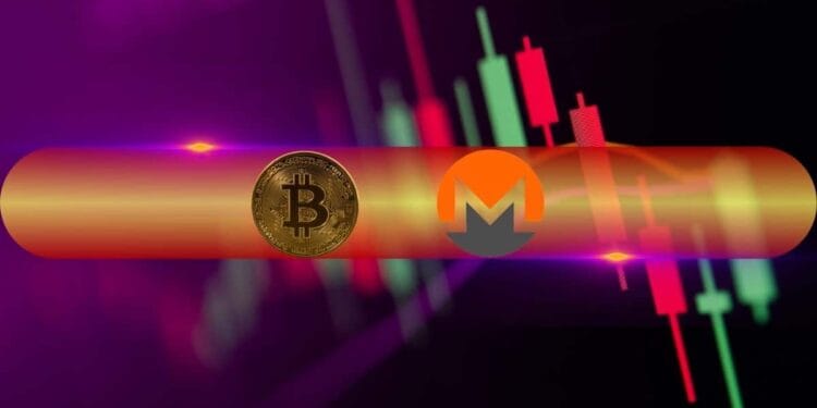 Monero (XMR) Dumps by Double Digits, Bitcoin (BTC) Calms at $109K (Market Watch)