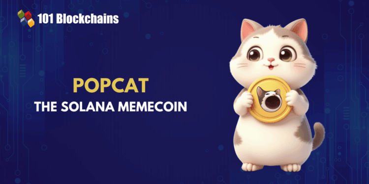 A Deep Dive into Popcat: The Solana Memecoin