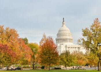 United Kingdom: New SFO Steering on Company Self Reporting and Cooperation