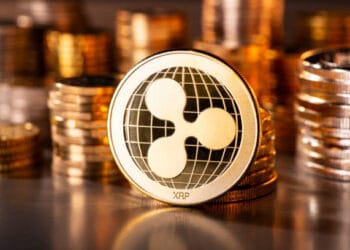 Ripple Points Stern Warning To Buyers As CEO Celebrates New XRP Milestone
