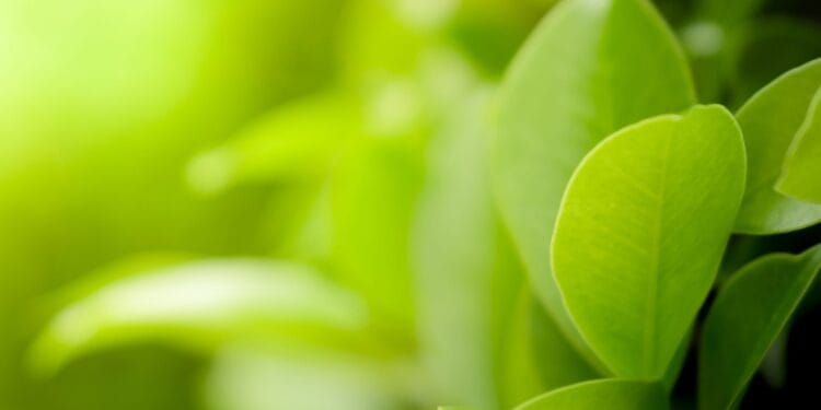 United States: FTC and DOJ File Joint Assertion of Curiosity in Texas-Led ESG Asset Supervisor Lawsuit