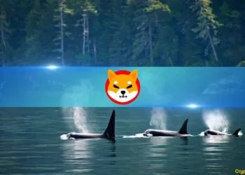 Shiba Inu (SHIB) Leads Whale Accumulation Wave Amidst Rising Geopolitical Tensions