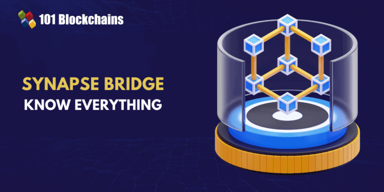 Synapse Bridge: The Main Cross-Chain Resolution