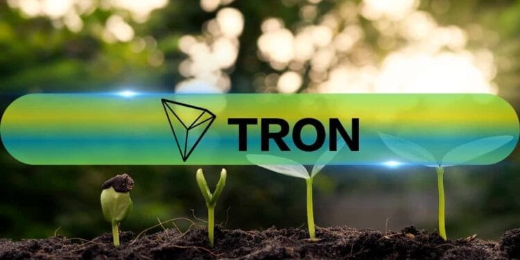 Tron (TRX) Units New All-Time Excessive in Month-to-month Switch Quantity