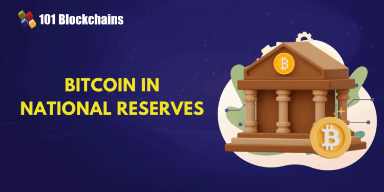 The Position of Bitcoin in Nationwide Reserves