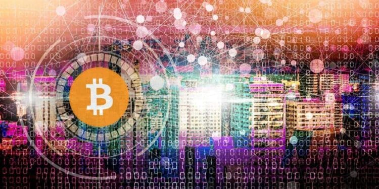 DDC and Others Be part of the Company BTC Craze