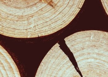 The Satan You Know …