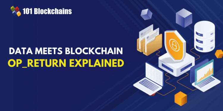 OP_RETURN and Storing Knowledge on the Bitcoin Blockchain