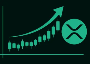 XRP Whale Accumulation Intensifies as Value Hits 7-Week Excessive