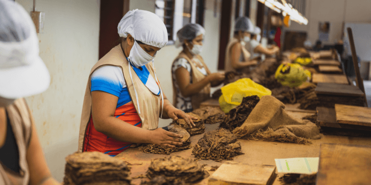 The silent danger in your provide chain: Why prosecutors are wanting nearer