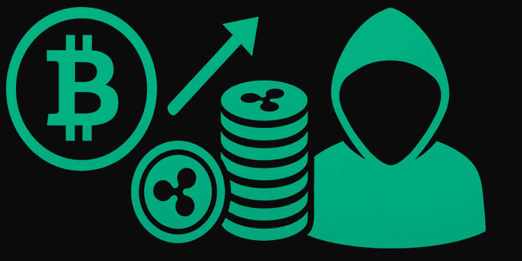 Ripple CTO Claims Bitcoin Founder Stockpiled XRP—What the SEC Transcript Exhibits