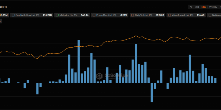 BlackRock Units New File: Digital Property See $14.1B Inflows in Q2 2025, $79.6B AUM