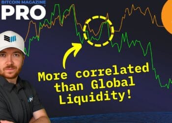 Why Liquidity Issues Extra Than Ever For Bitcoin