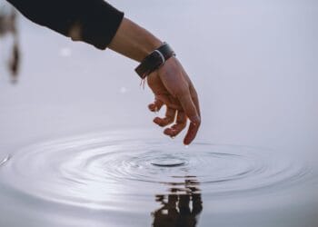 Don’t Maintain Again—Skilled Recommends Full Stake In XRP