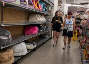 PPI inflation report July 2025: