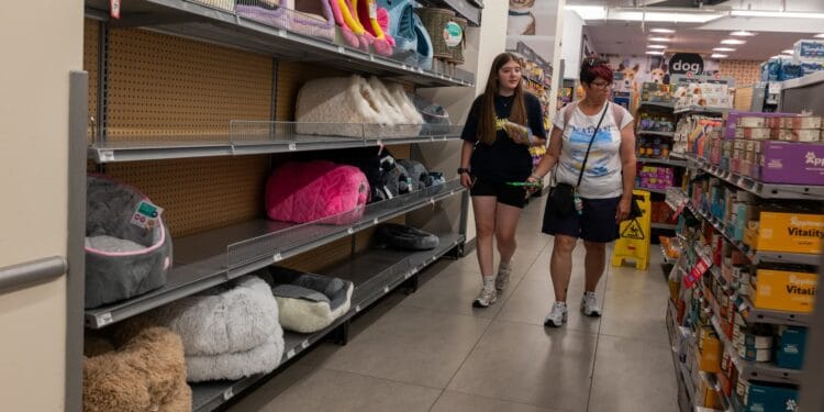 PPI inflation report July 2025: