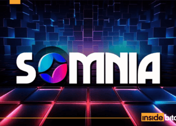 NFT Market Rarible Provides Help For Somnia NFTs