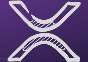 Professional-Ripple Analyst Shutdowns the “XRP Has No Utility” Argument ⋆ ZyCrypto