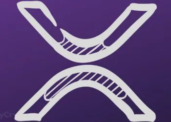 Professional-Ripple Analyst Shutdowns the “XRP Has No Utility” Argument ⋆ ZyCrypto
