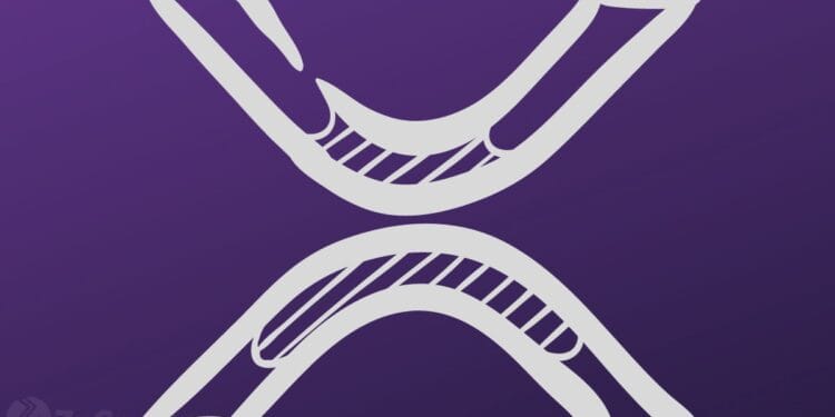 Professional-Ripple Analyst Shutdowns the “XRP Has No Utility” Argument ⋆ ZyCrypto